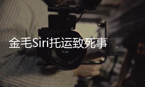 托运金毛毛s致死回顾乔恩 陈i发过程完整为金事件始末声